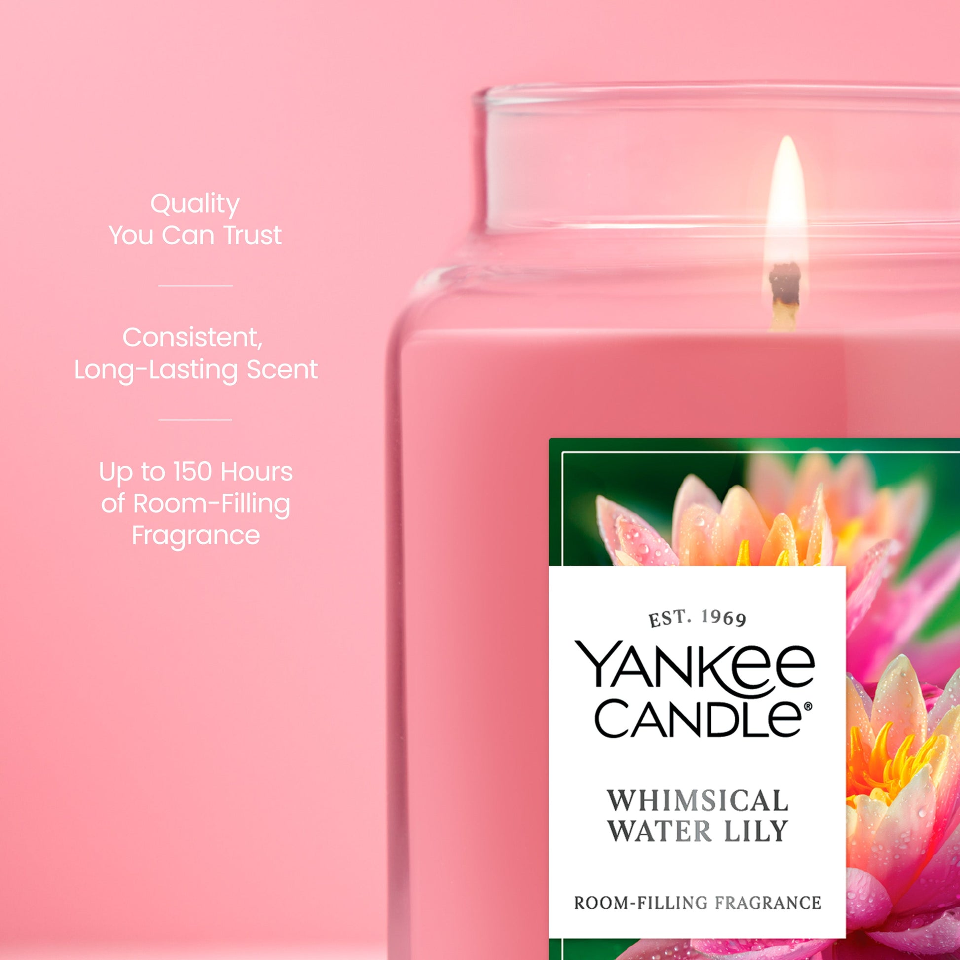 Whimsical Water Lily