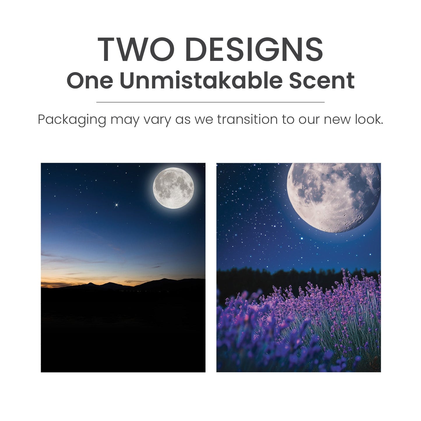 MidSummer's Night® Visor Clip Fragrance Kit