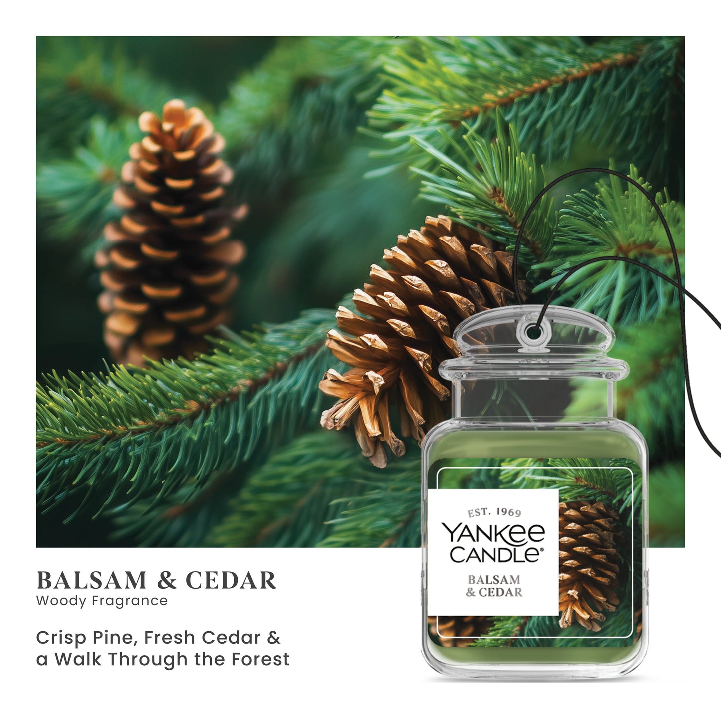 Balsam & Cedar