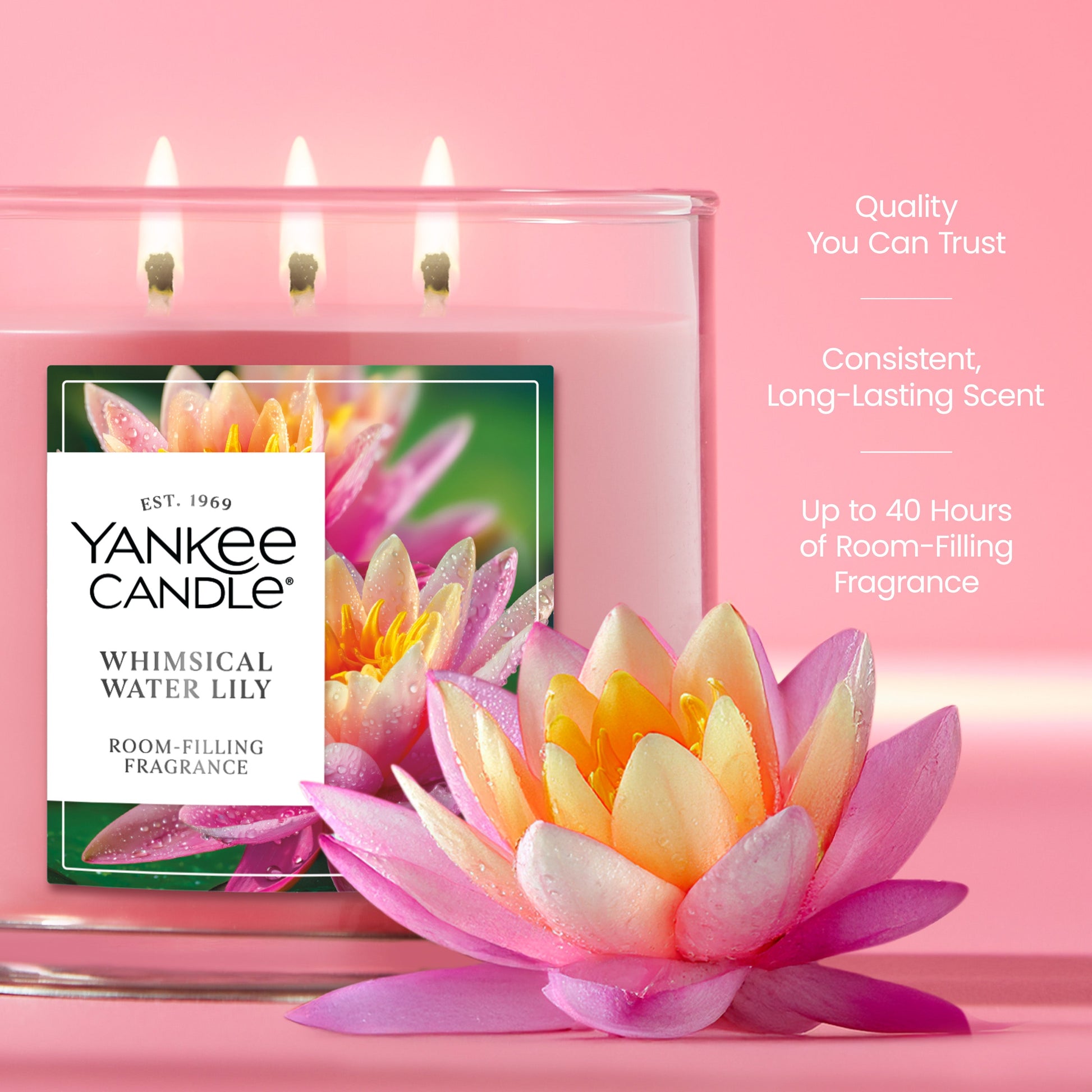 Whimsical Water Lily