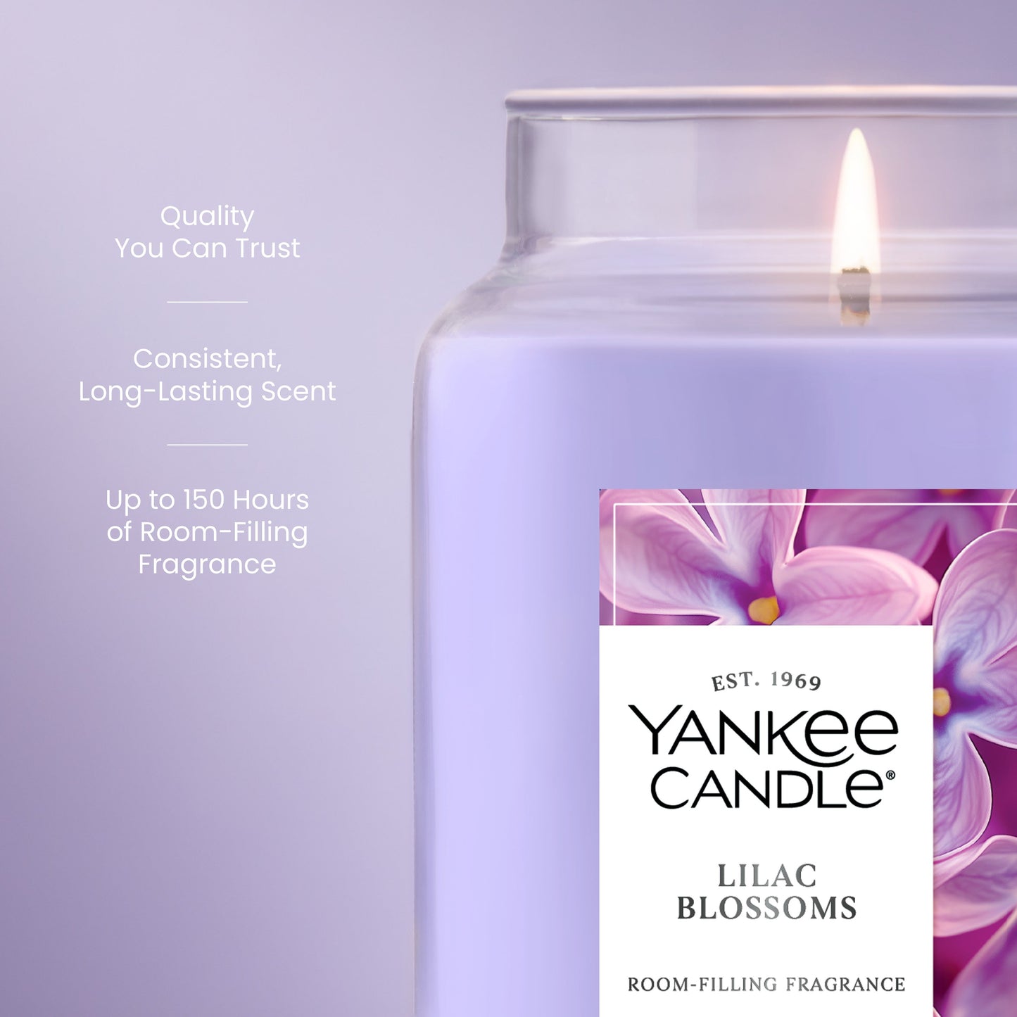 Lilac Blossoms