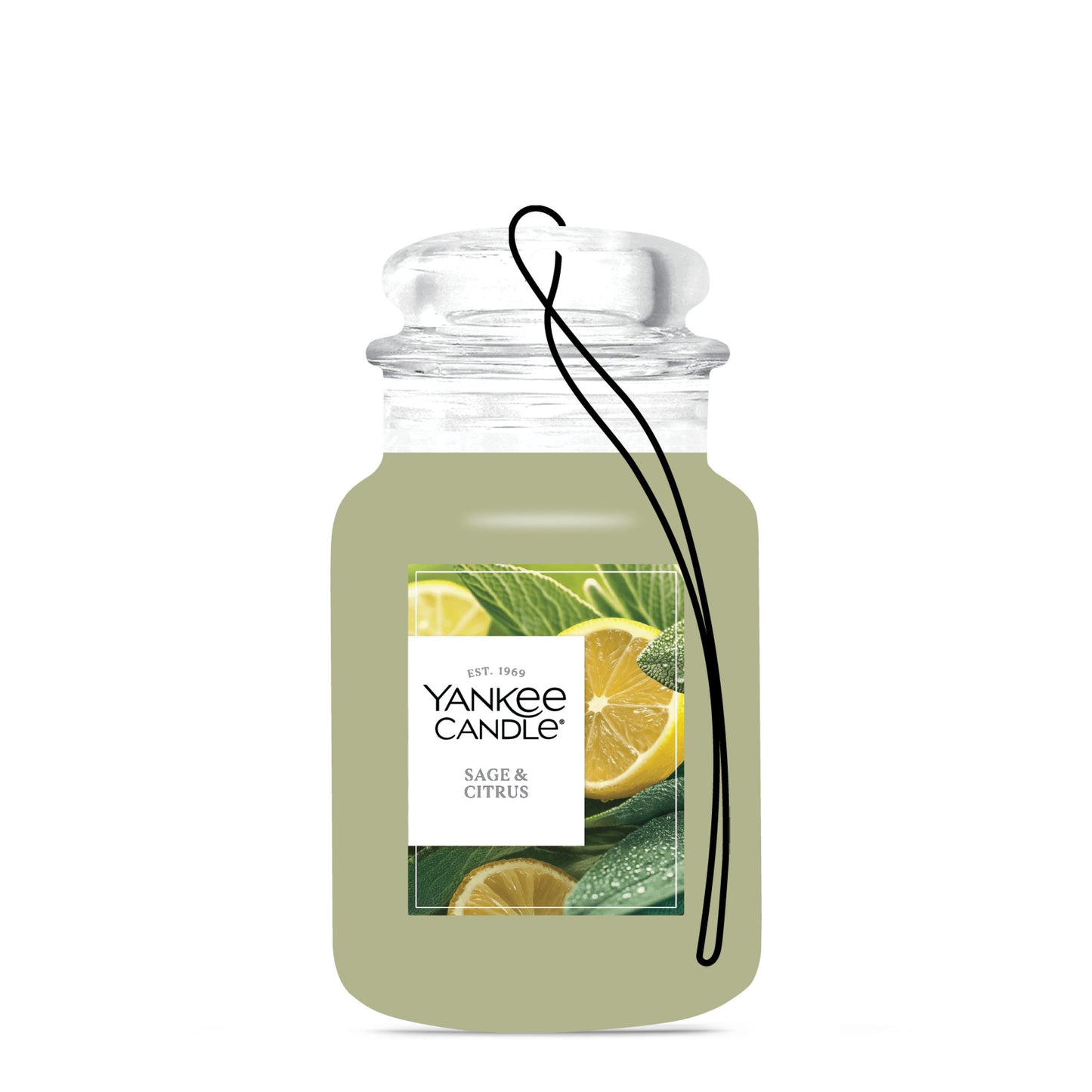Sage & Citrus Wave 9-0882