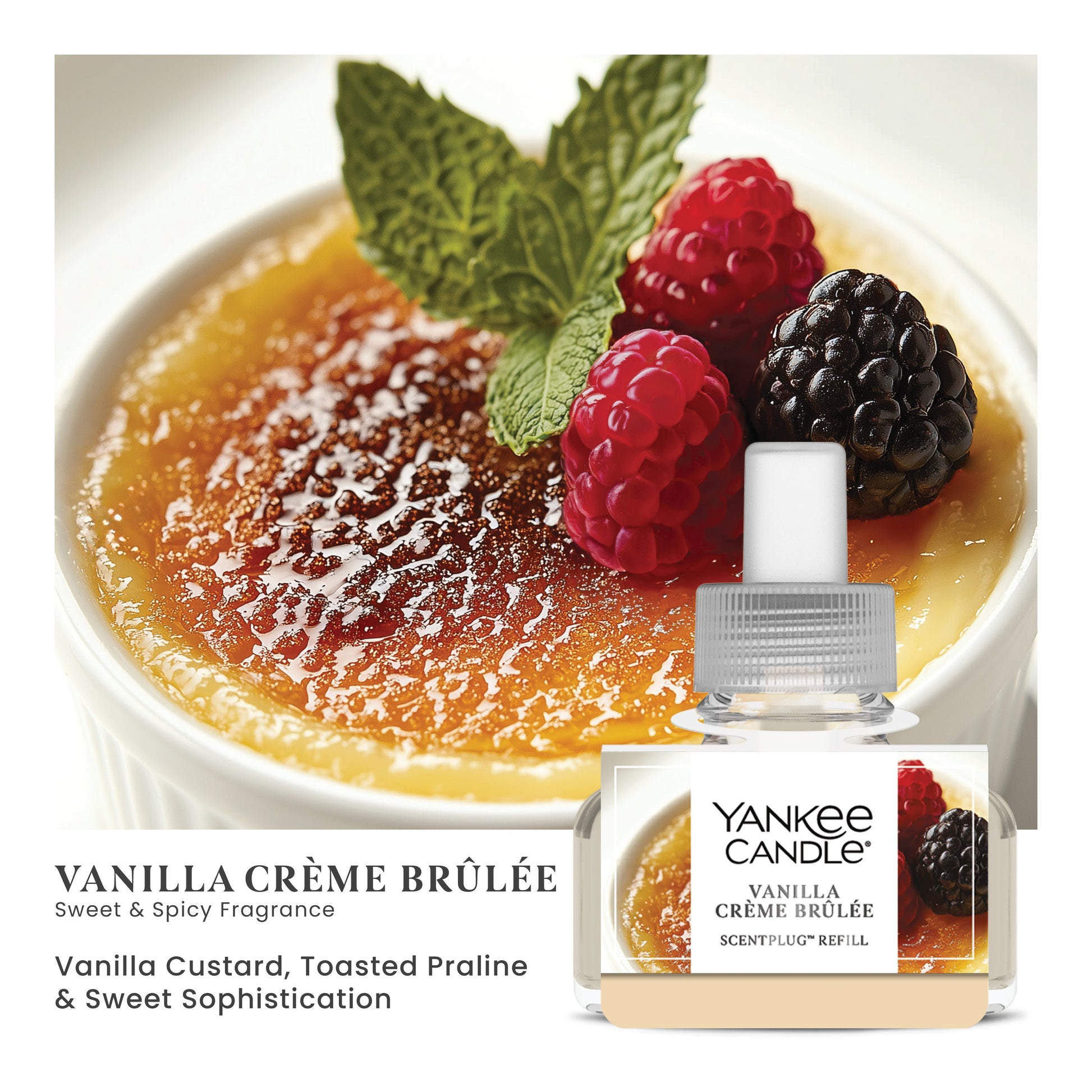 Vanilla Crème Brûlée