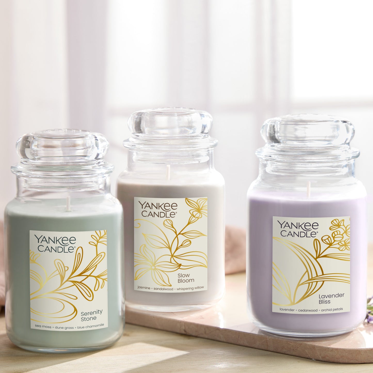 Lavender Bliss
