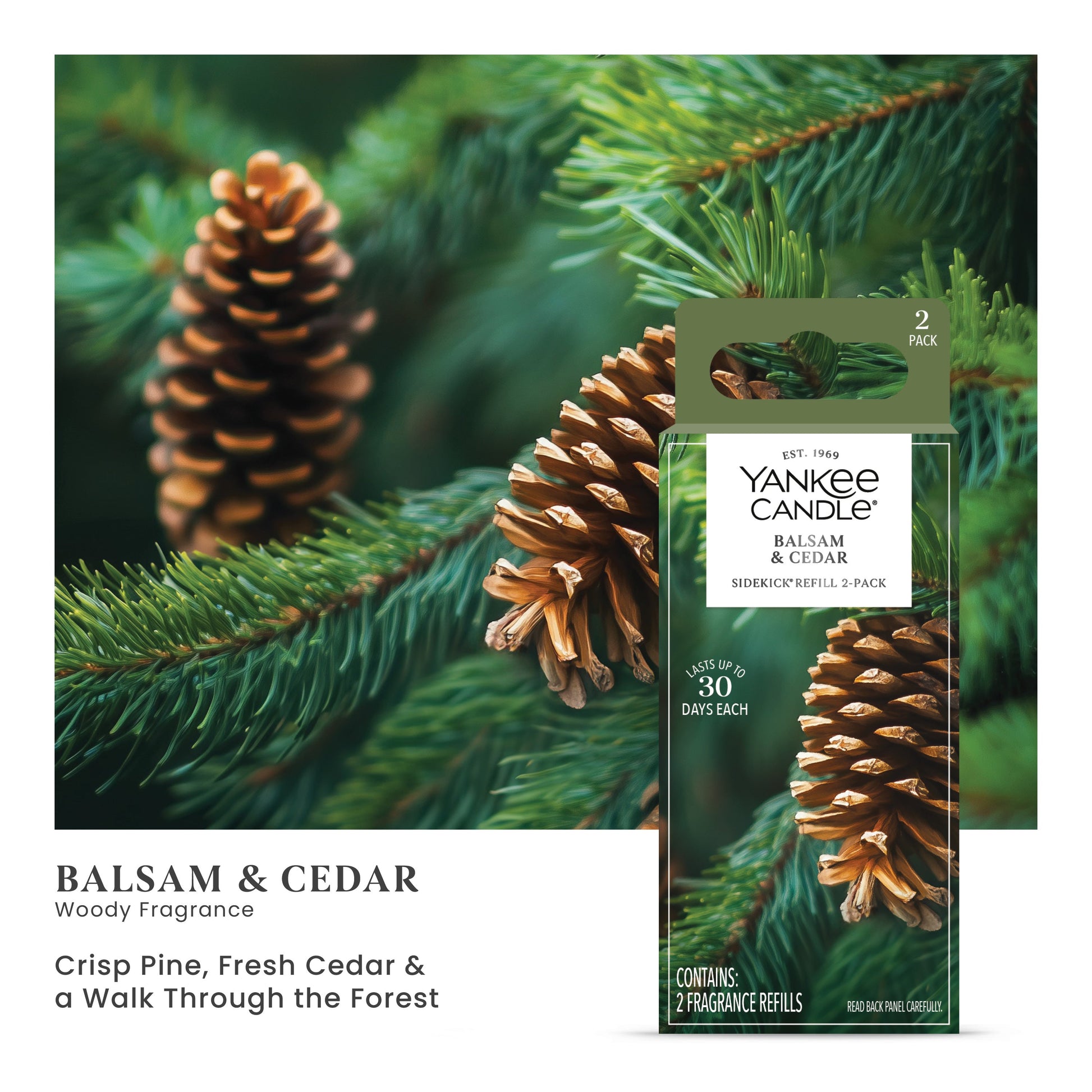 Balsam & Cedar
