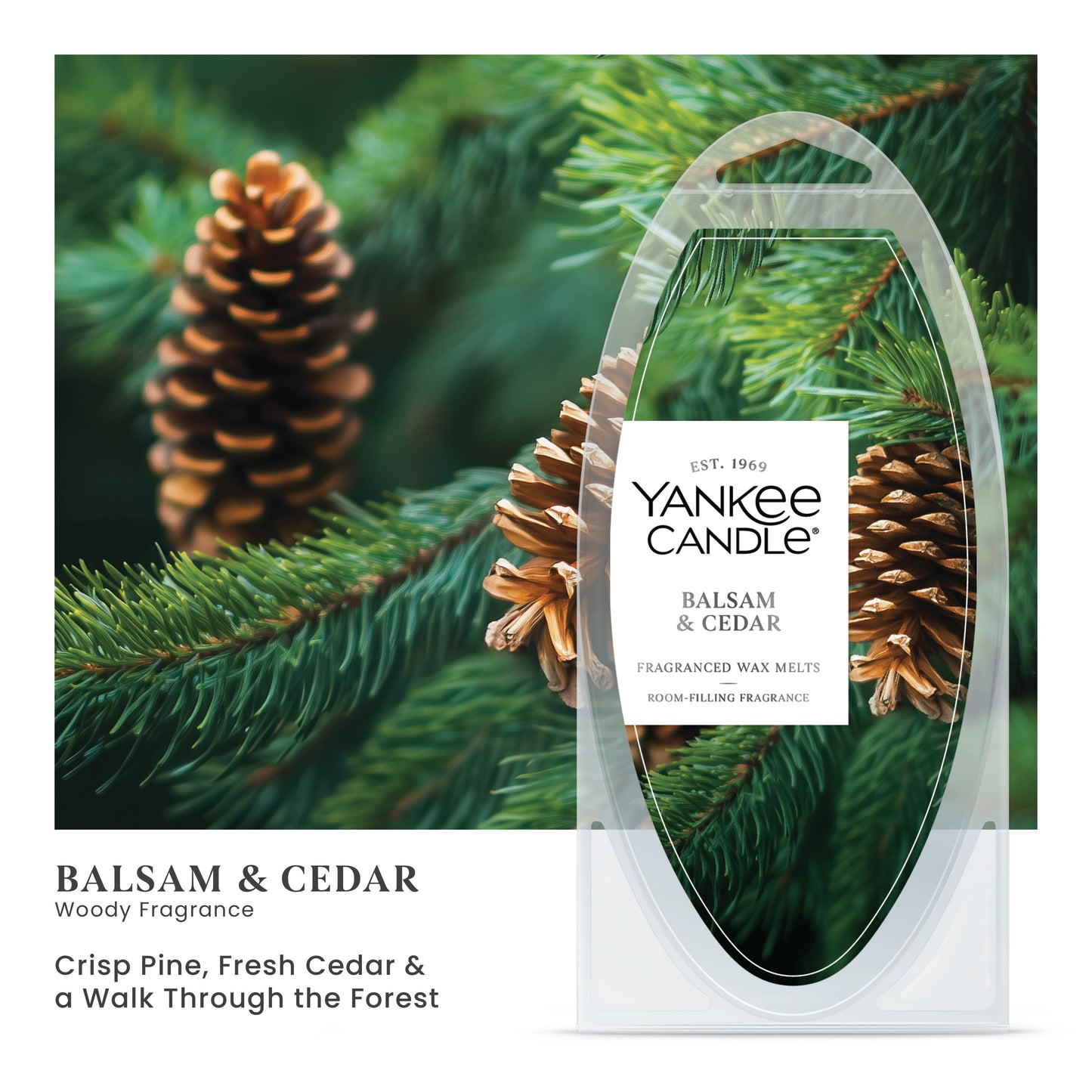 Balsam & Cedar