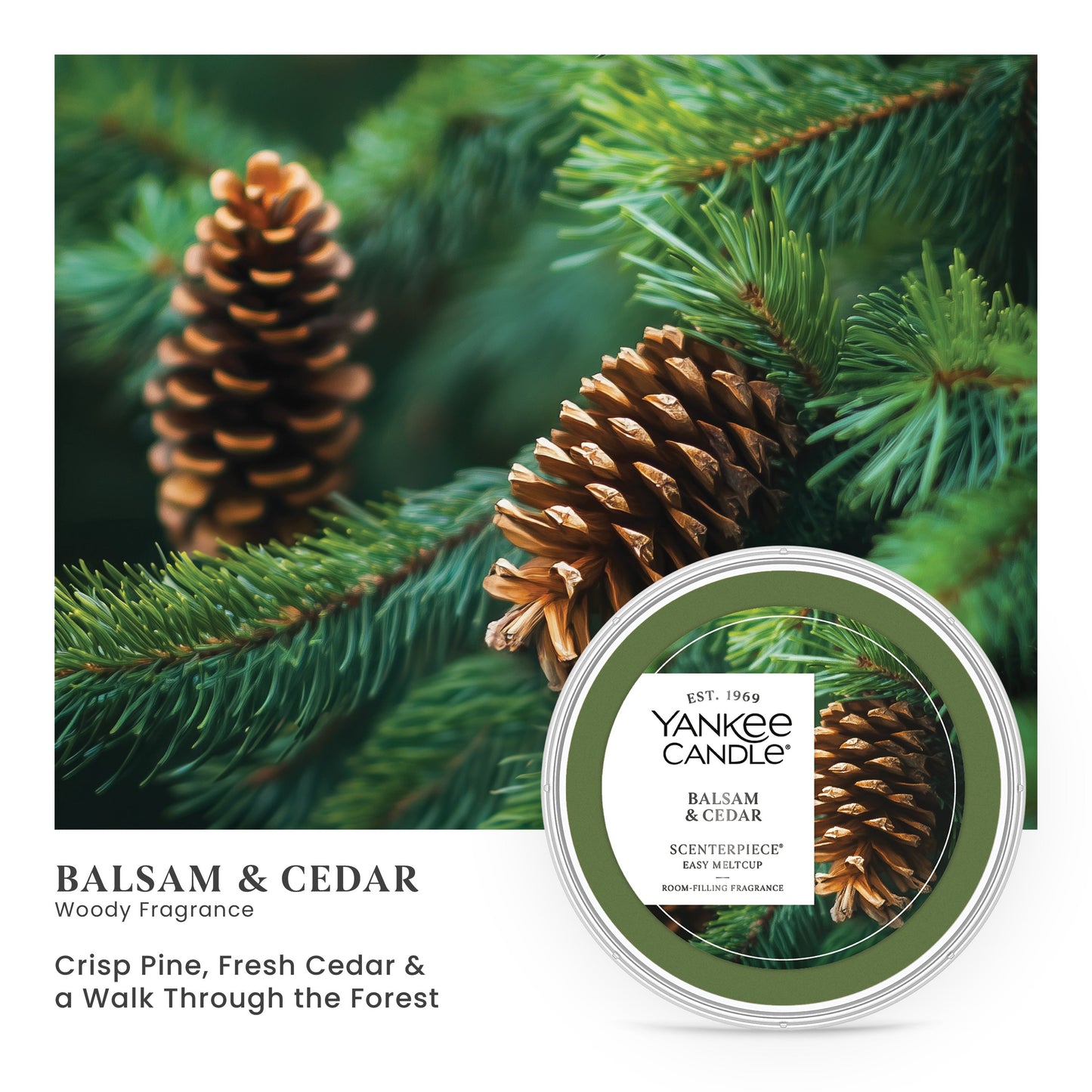 Balsam & Cedar