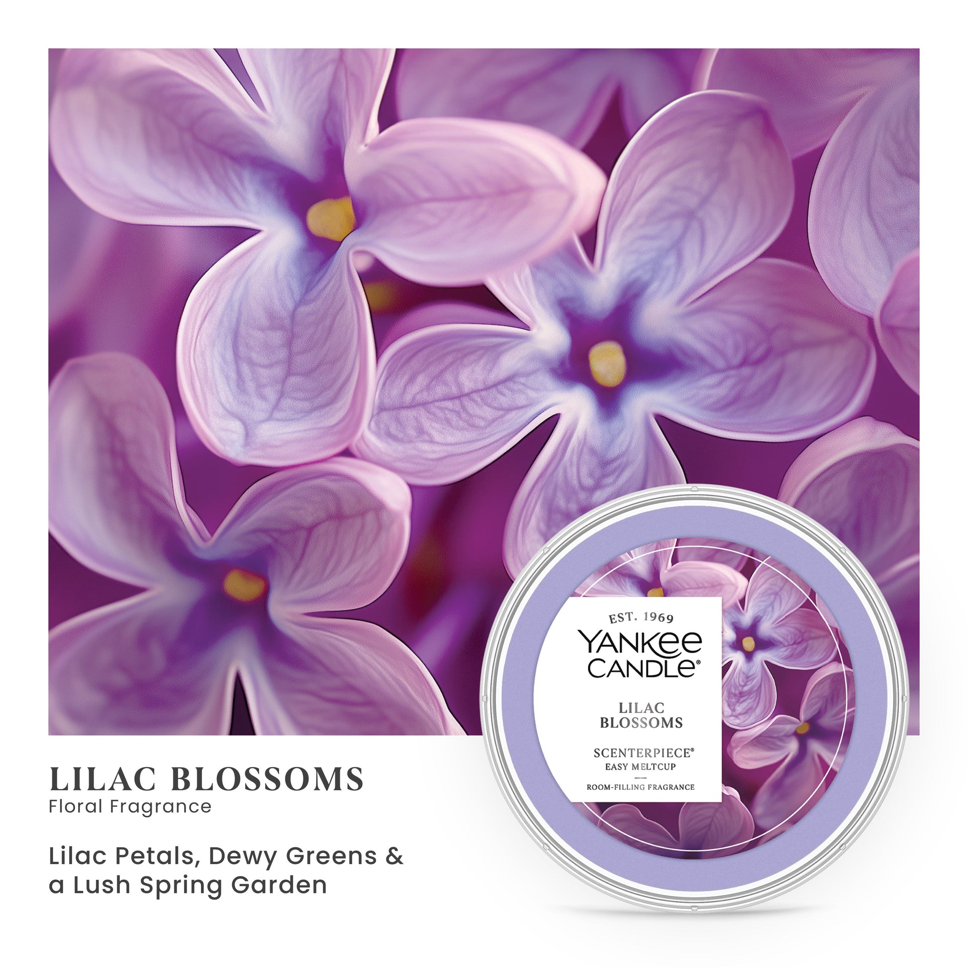 Lilac Blossoms