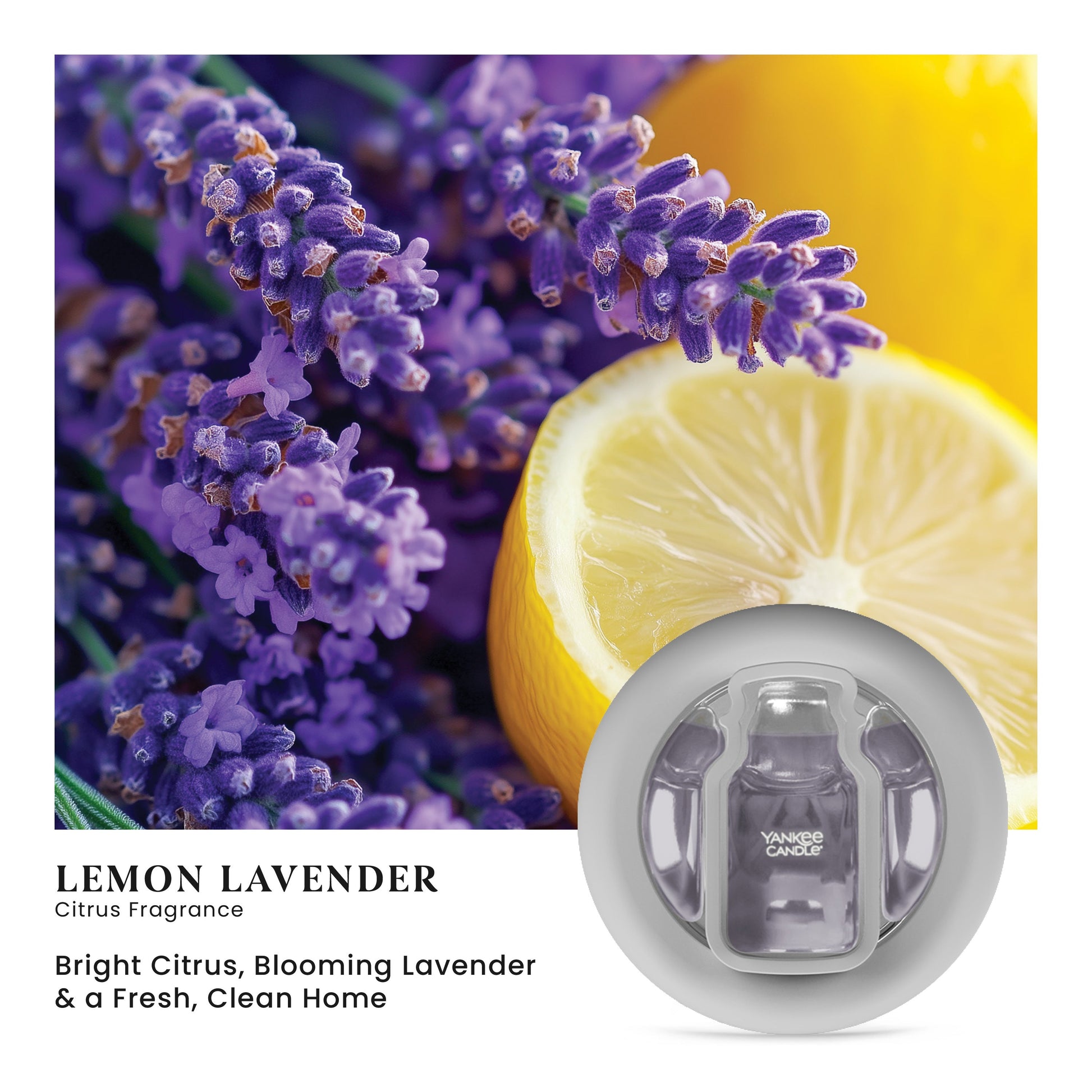 Lemon Lavender