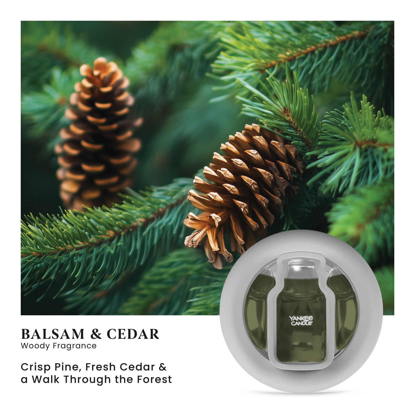 Balsam & Cedar