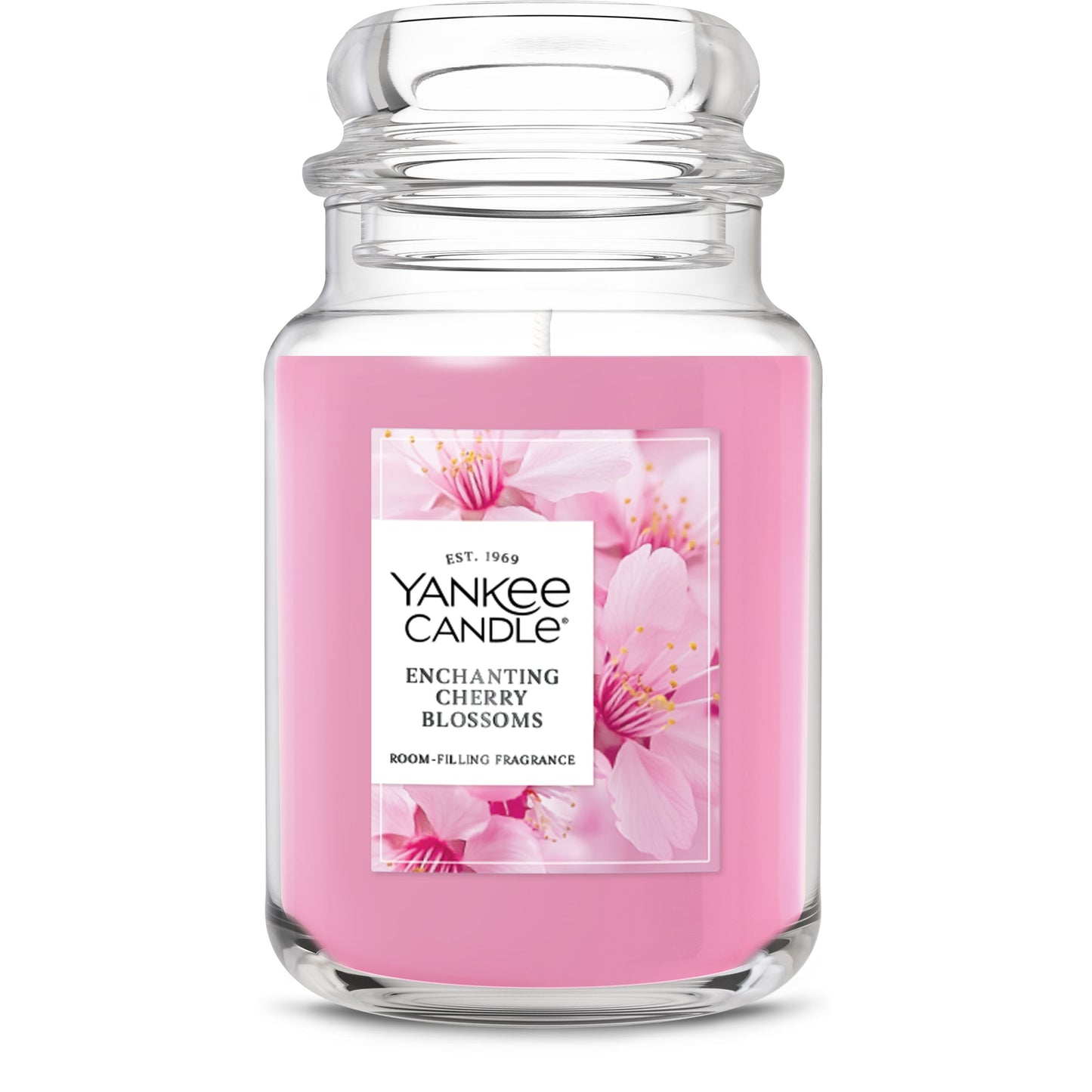 Enchanting Cherry Blossoms Studio 9-0377