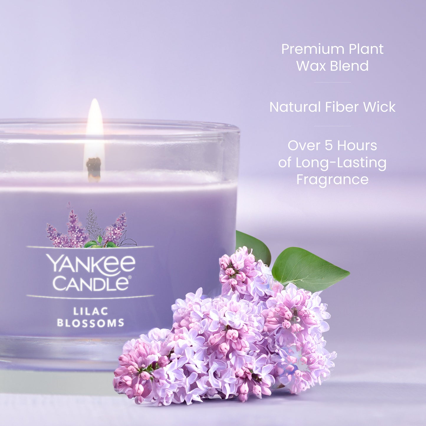 Lilac Blossoms