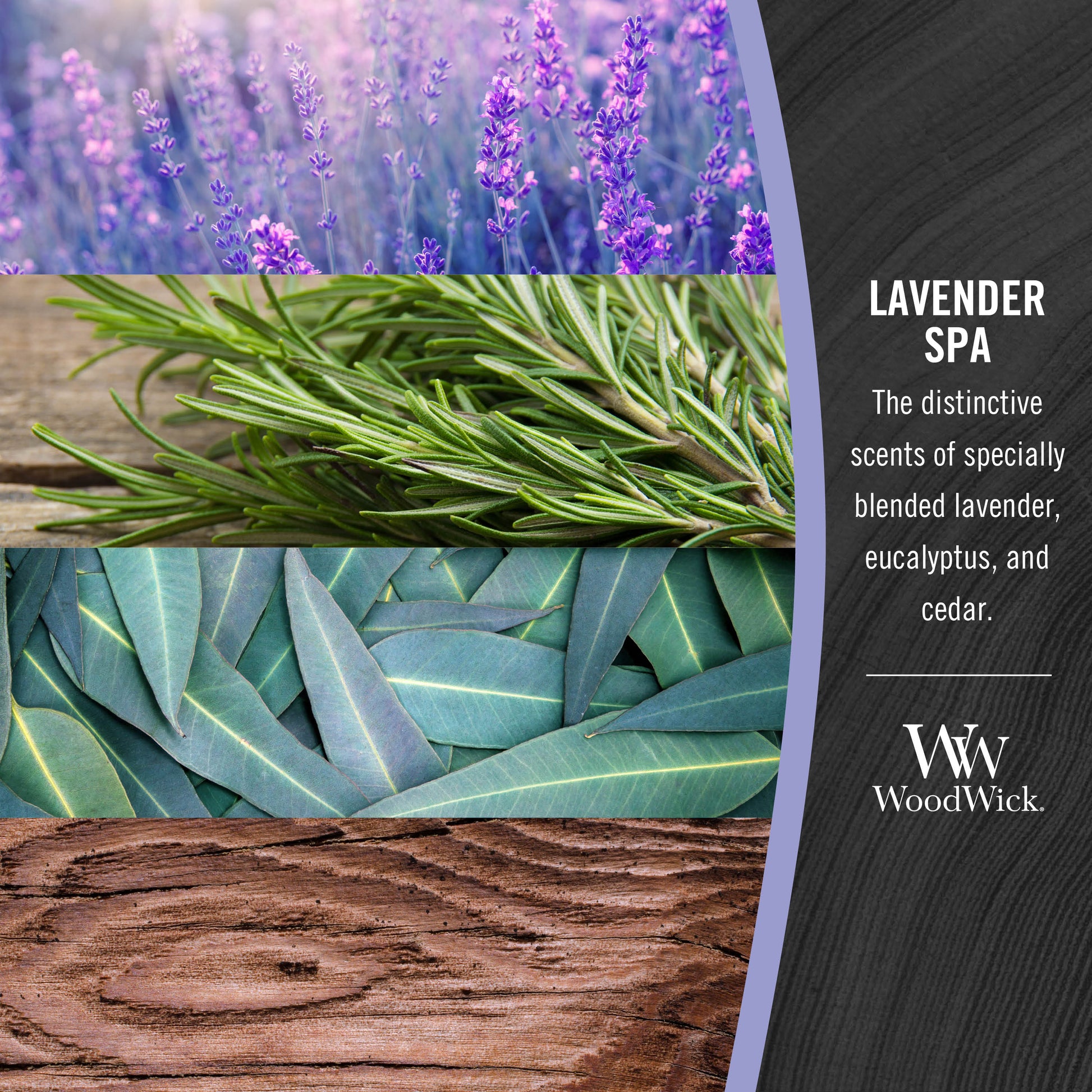 photo collage illustrating woodwick lavender spa fragrances of lavender, eucalyptus and cedar