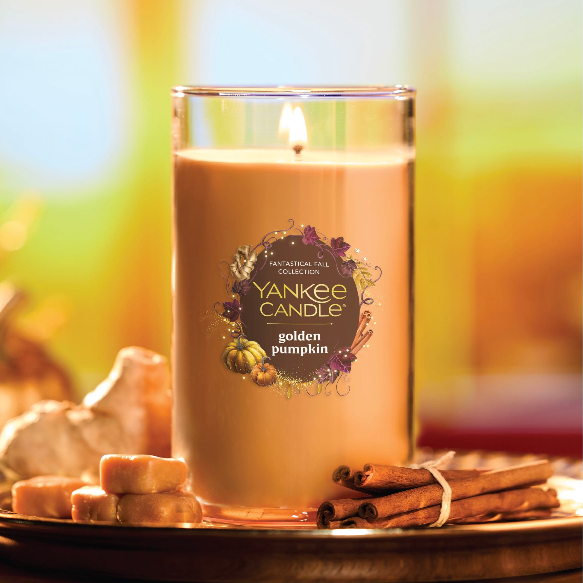 https://yankeecandle.imgix.net/cdc98964-1fda-31f9-8be5-0f1375939f16/cdc98964-1fda-31f9-8be5-0f1375939f16.jpg