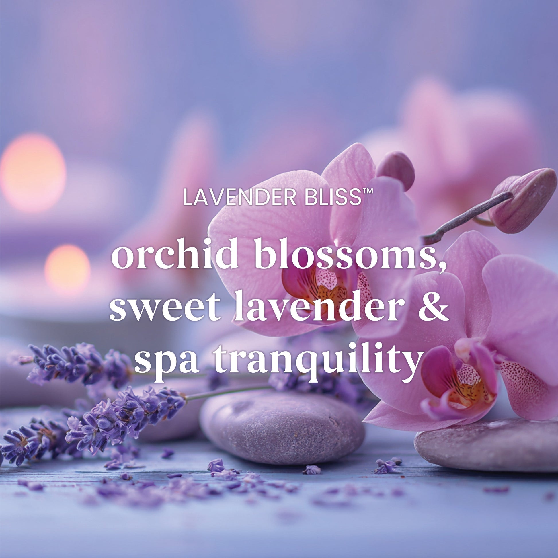 Lavender Bliss