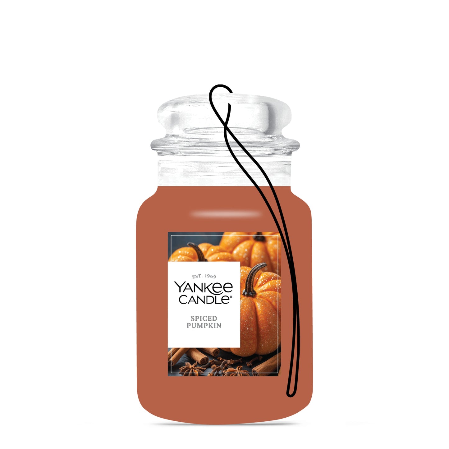 Spiced Pumpkin Blend 9-0741