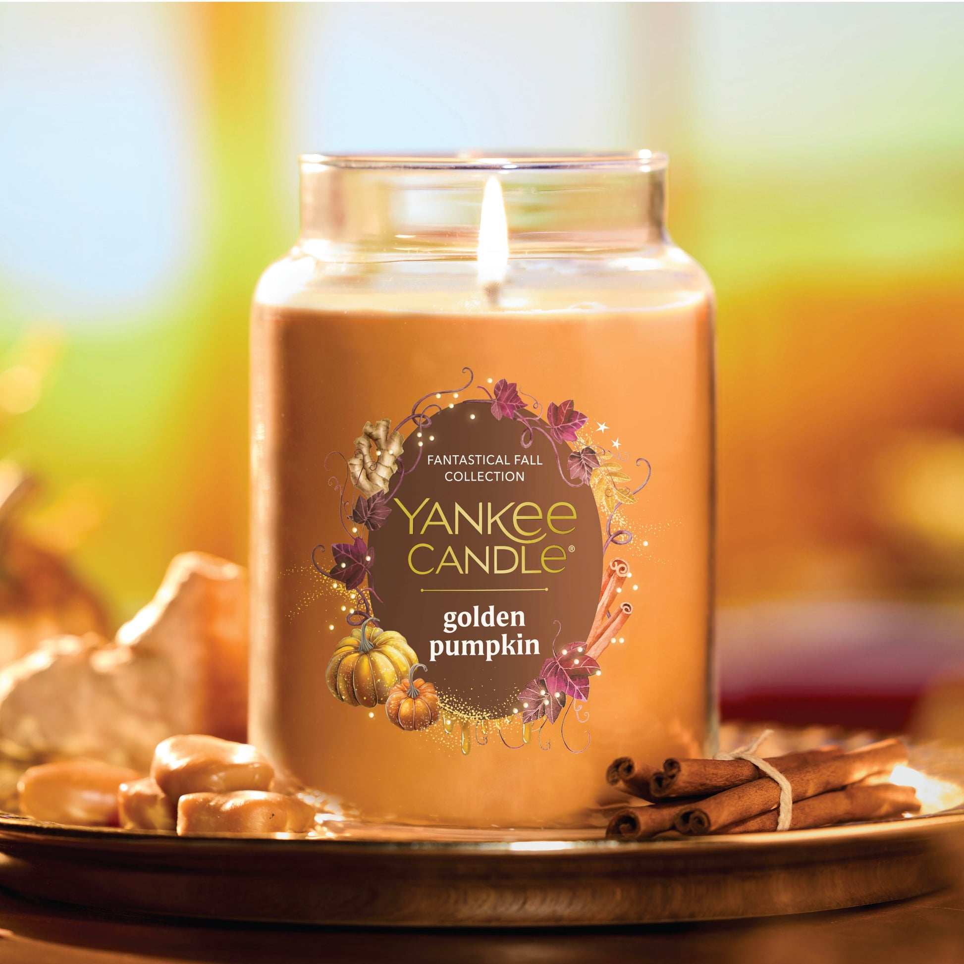 https://yankeecandle.imgix.net/f134e3f1-e78e-3b44-8003-a6c9e89ae06f/f134e3f1-e78e-3b44-8003-a6c9e89ae06f.jpg